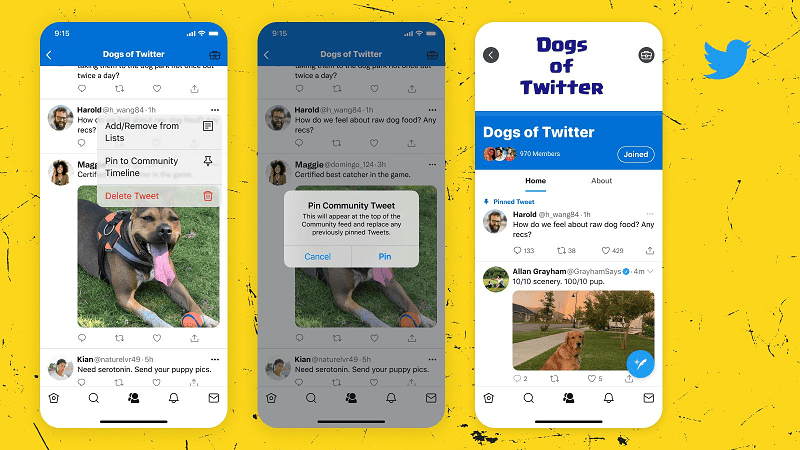 Twitter Enables Pinned Tweets Within Communities
